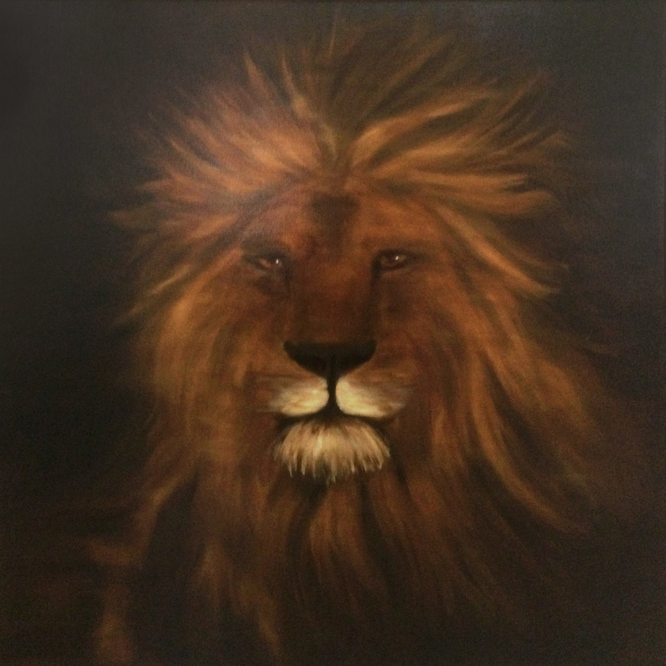Lion – Zodiac, Anna van Oel