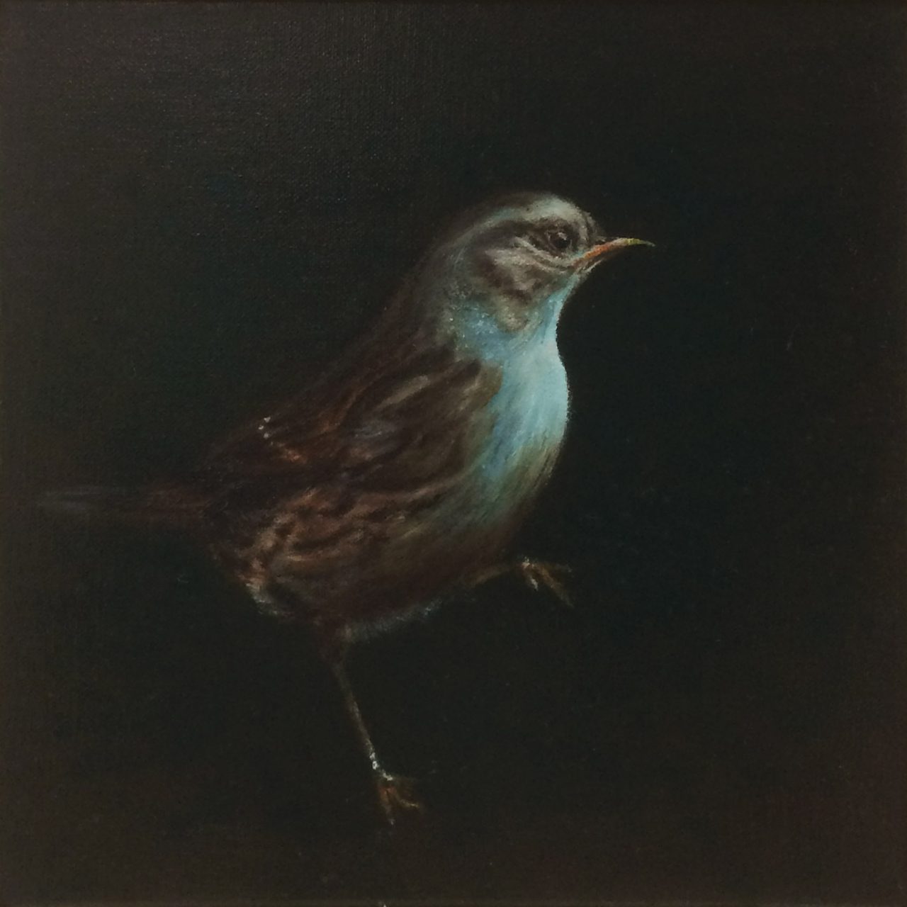 Dunnock “Heggenmus“ II - Carré PM, Anna van Oel