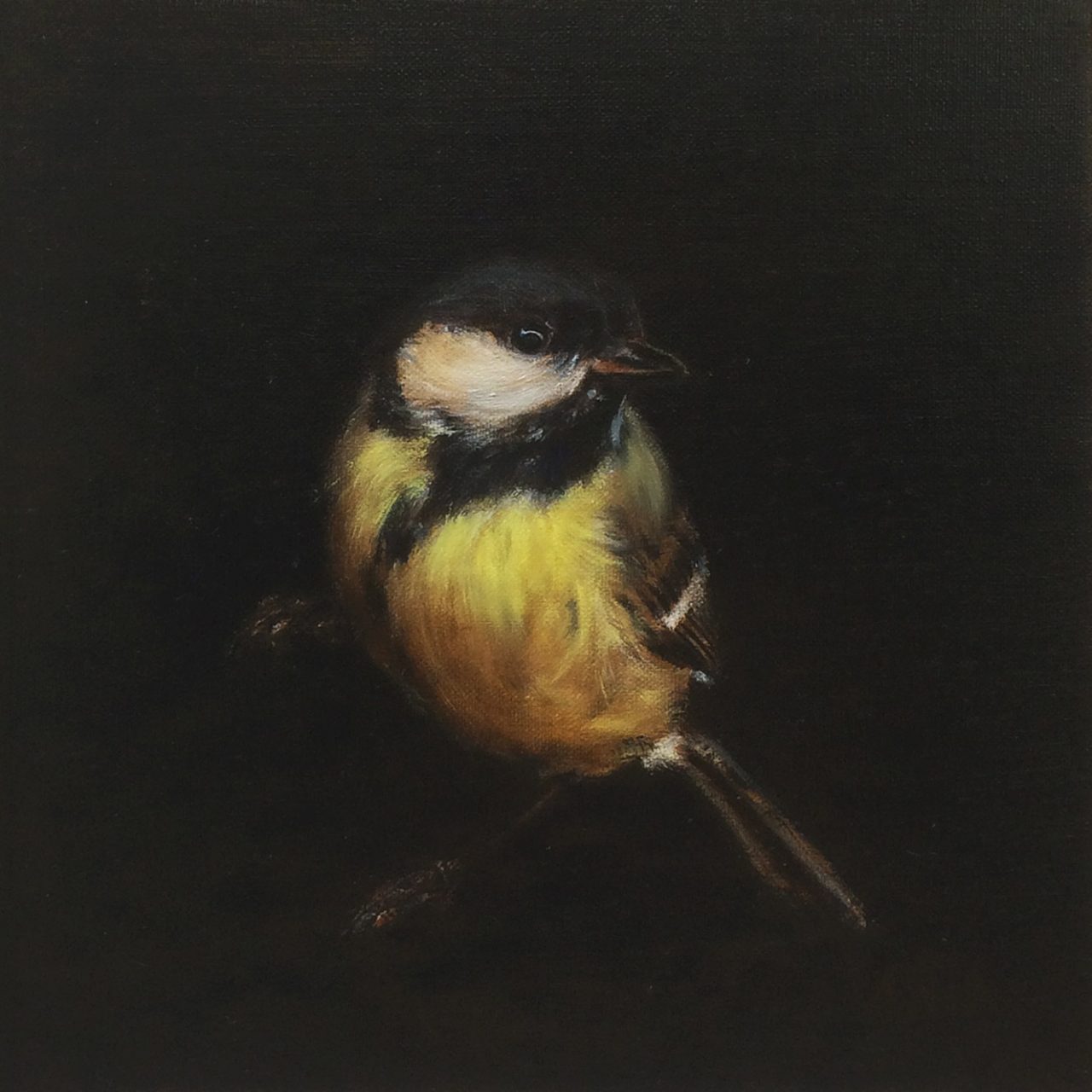 Great tit "Koolmees" I - Carré PM, Anna van Oel