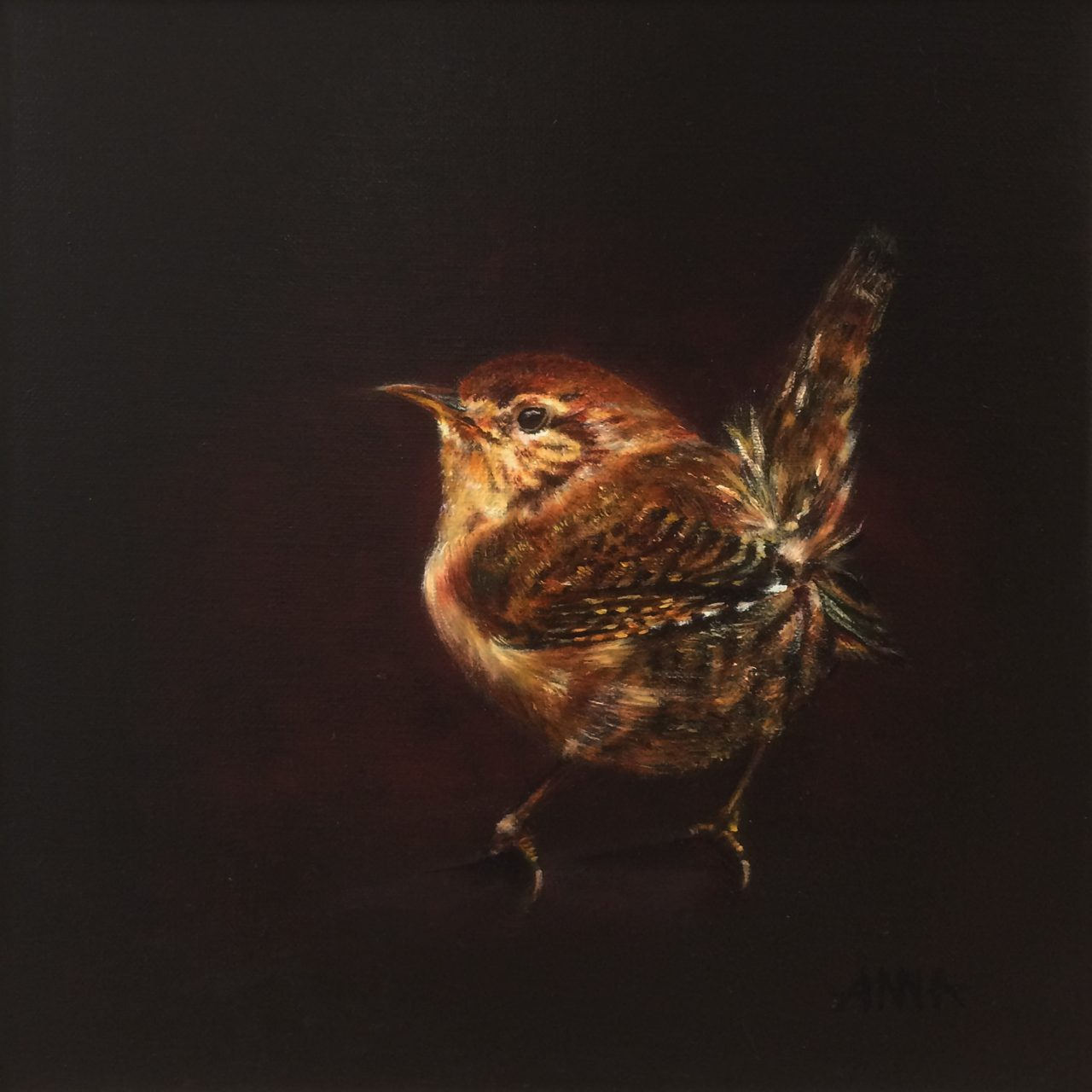 Wren II - Carré PM, Anna van Oel